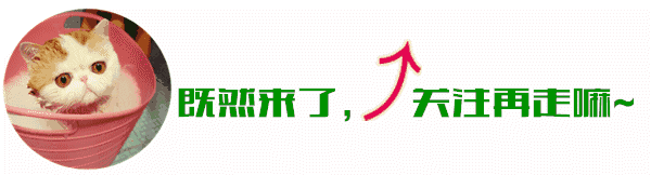 【营养测评】这次黑巧克力是我们的实验对象
