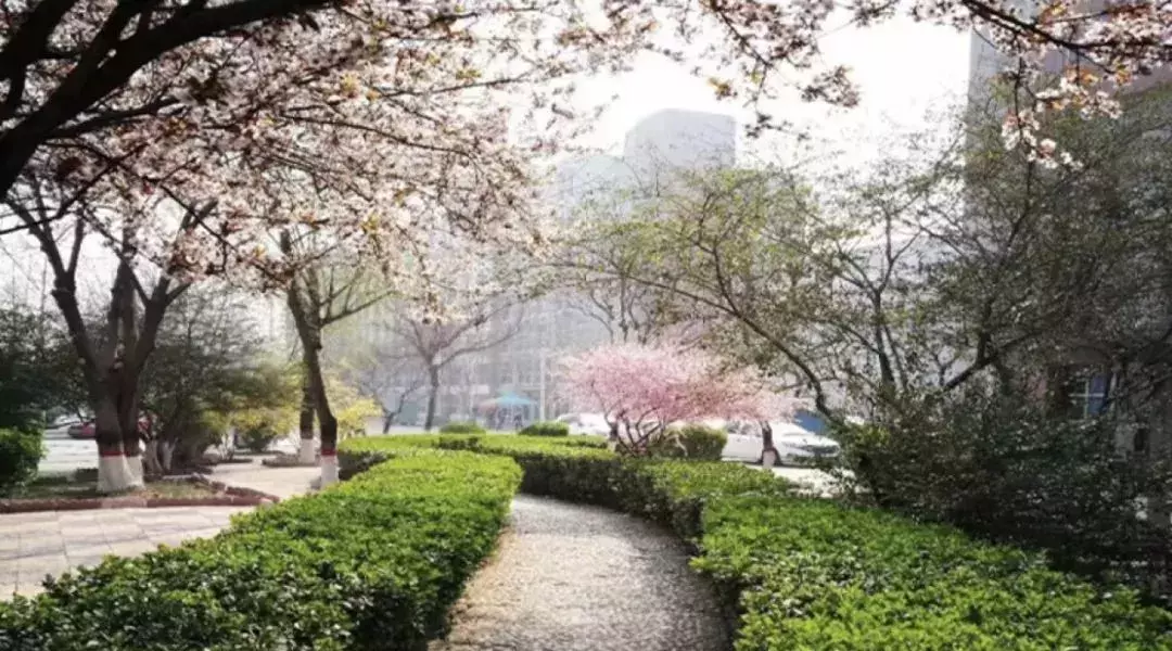 厉害了！河北这23校要享誉全国啦！为母校骄傲吧