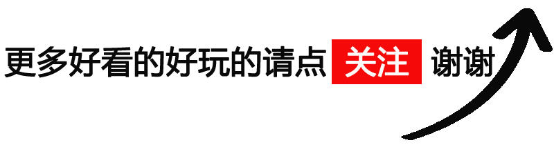 车险不用来全套(车险什么不用买)