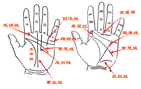 基本手相你还不懂？了解自己和他人，这里让你知道很多！