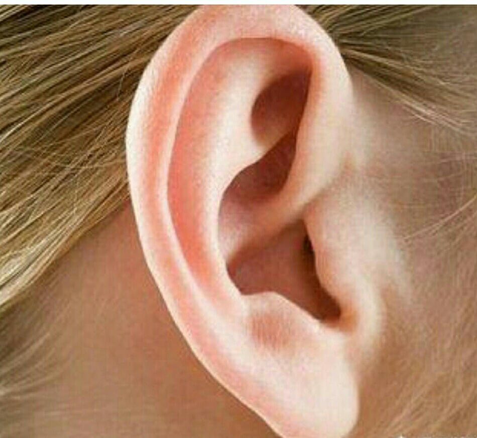 一侧耳朵天生两个耳垂图片