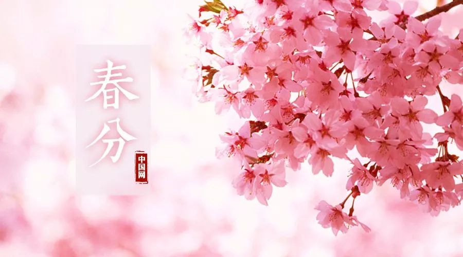春分至，草长莺飞，你从花间走过，如唐诗宋词一般美好