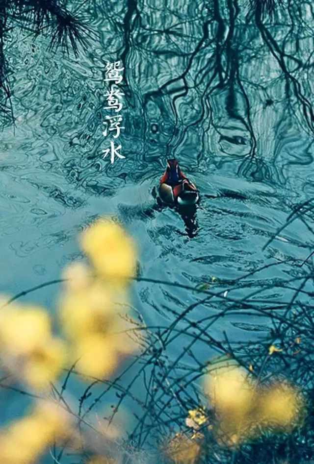 春分至，草长莺飞，你从花间走过，如唐诗宋词一般美好