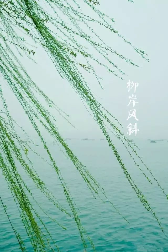 春分至，草长莺飞，你从花间走过，如唐诗宋词一般美好