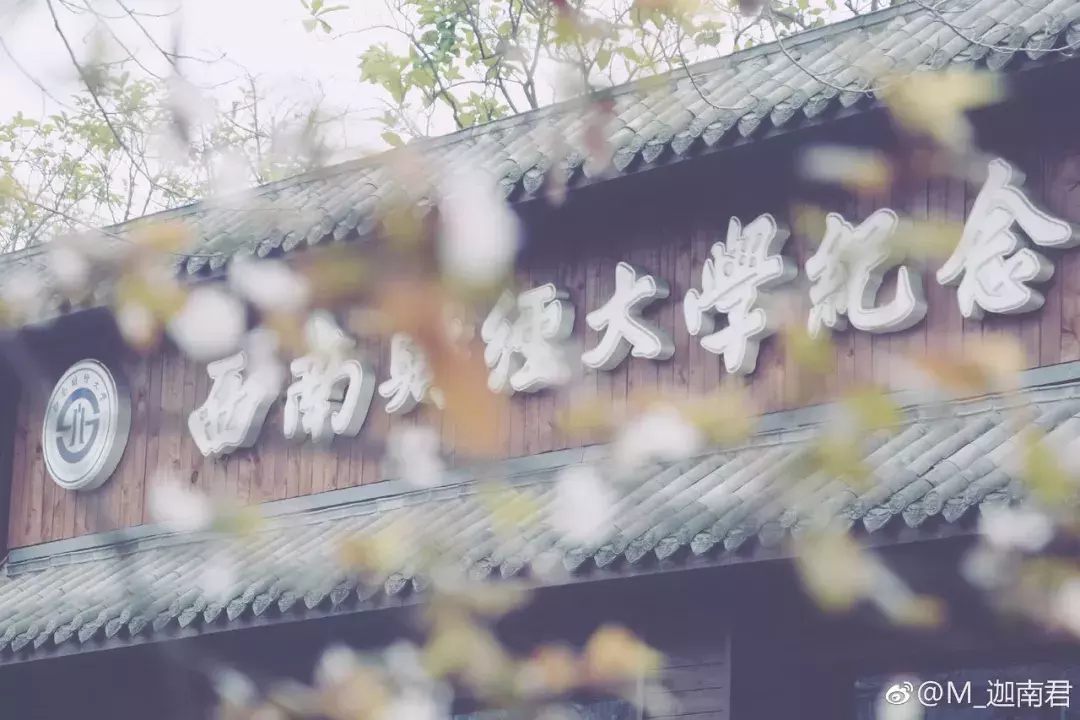 成都最适合恋爱的樱花粉大学，美食和恋爱都是必修课！