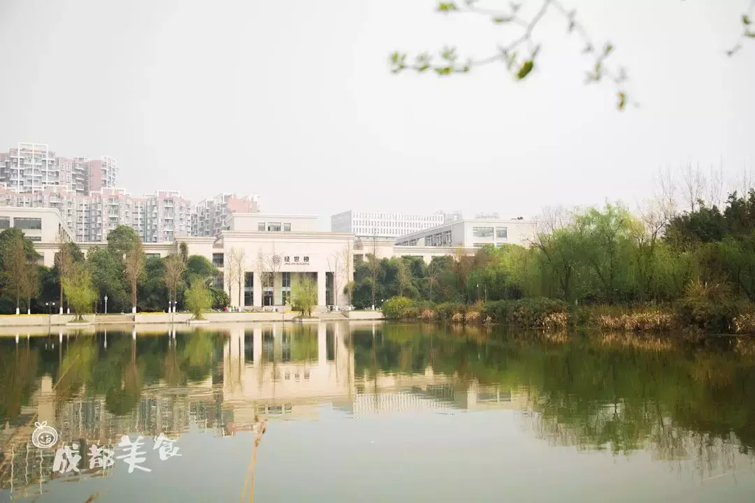成都最适合恋爱的樱花粉大学，美食和恋爱都是必修课！