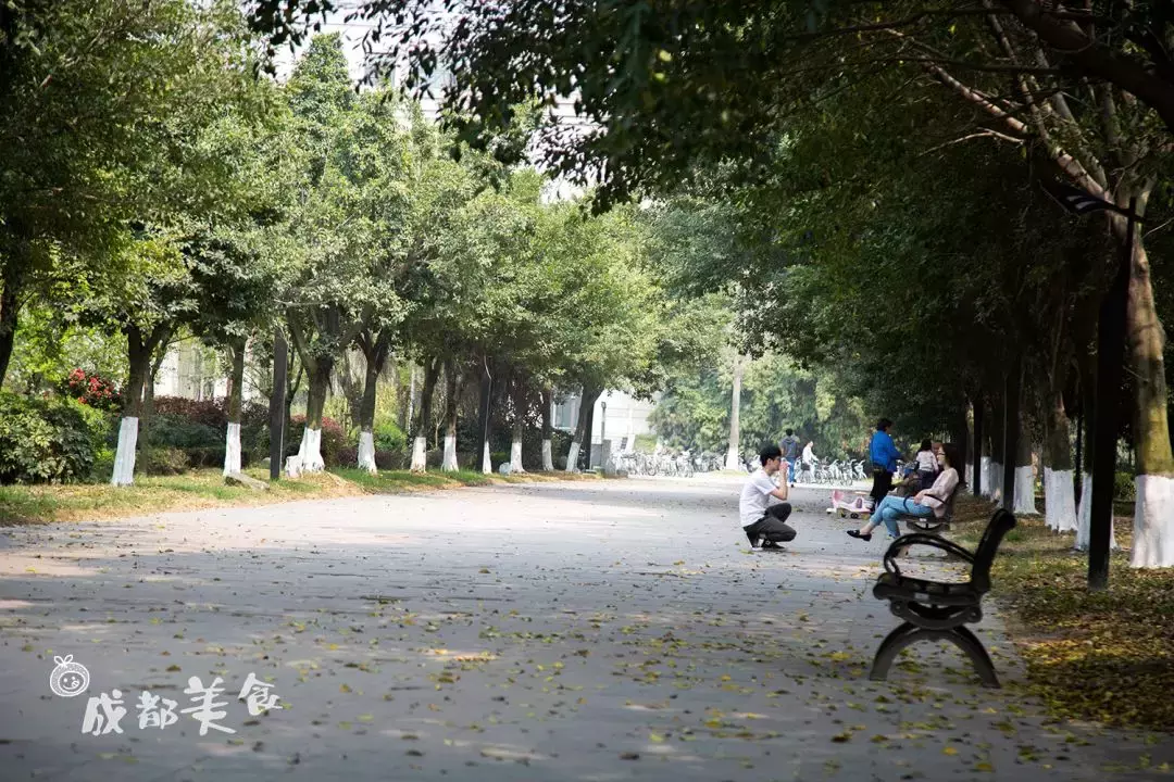 成都最适合恋爱的樱花粉大学，美食和恋爱都是必修课！
