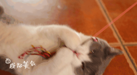 成都最适合恋爱的樱花粉大学，美食和恋爱都是必修课！