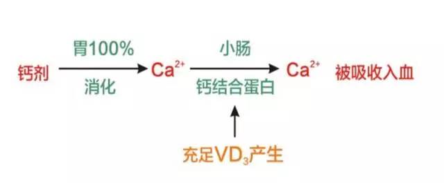 朗迪钙8大优势，每一条都值得让你爱上它！