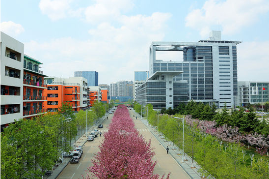 青岛多所高校校花斗艳，快来为你的学校打call吧！