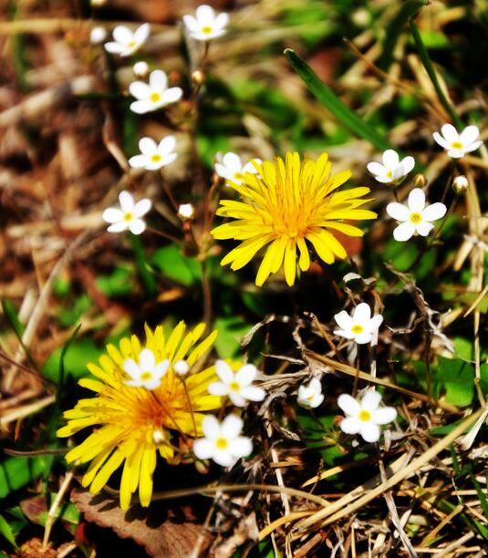 青岛多所高校校花斗艳，快来为你的学校打call吧！