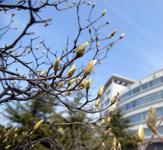 青岛多所高校校花斗艳，快来为你的学校打call吧！
