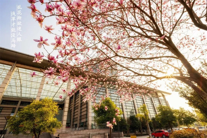 太美腻！这些高校校花哪个是你的理想型？