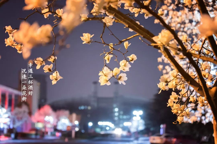 太美腻！这些高校校花哪个是你的理想型？