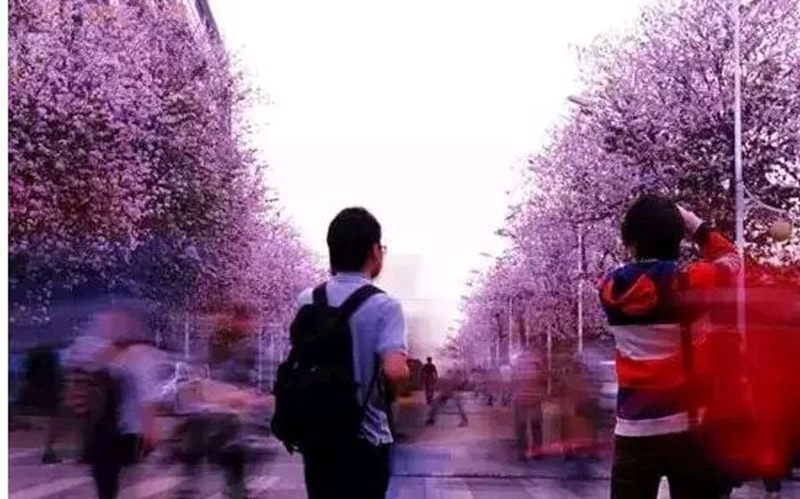 太美腻！这些高校校花哪个是你的理想型？