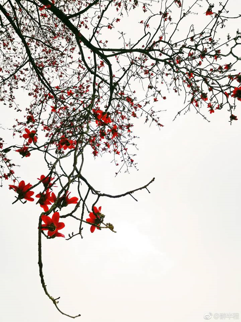 太美腻！这些高校校花哪个是你的理想型？