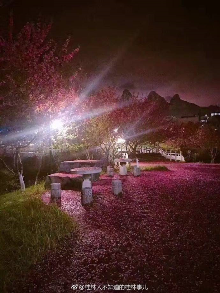 太美腻！这些高校校花哪个是你的理想型？