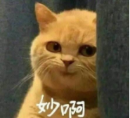 太美腻！这些高校校花哪个是你的理想型？