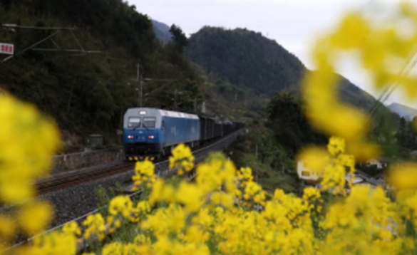 太美腻！这些高校校花哪个是你的理想型？