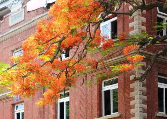 太美腻！这些高校校花哪个是你的理想型？