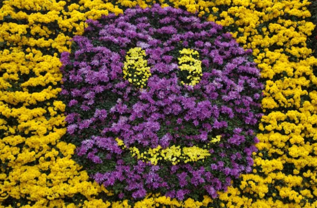 太美腻！这些高校校花哪个是你的理想型？