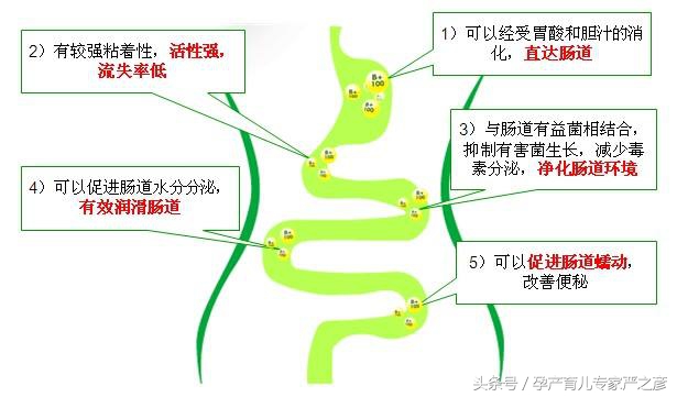 拉肚子便秘都离不开的益生菌，为何你家宝宝用了没效？