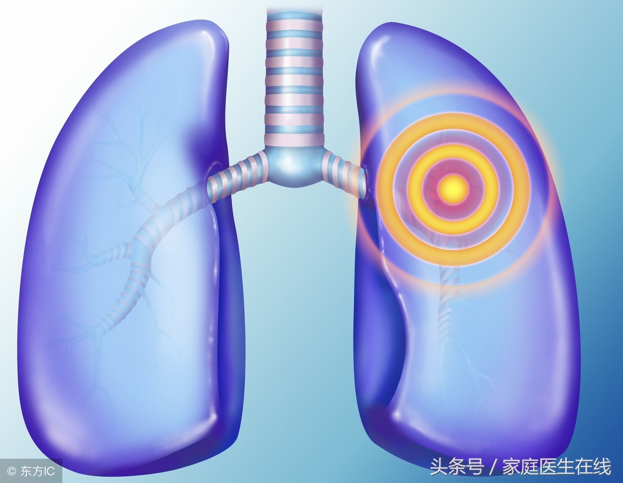 婴儿口周发青的原因（除了发热外）