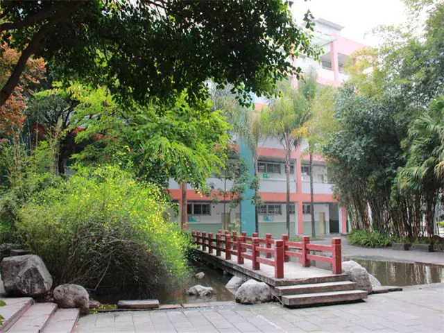 用三行情书留住四川名校的春天，25所学校，你为谁的春光心醉？