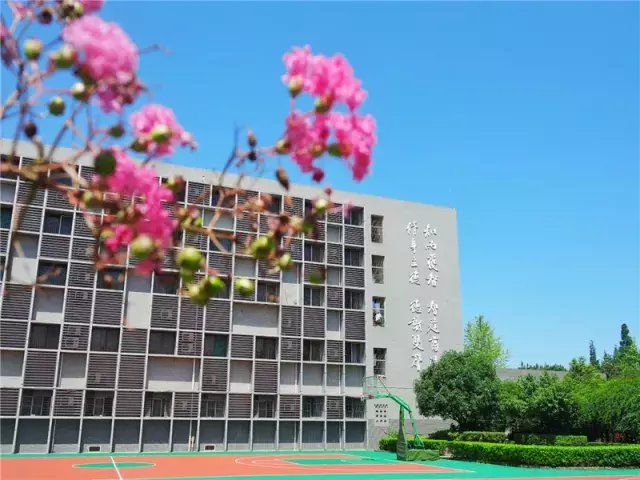 用三行情书留住四川名校的春天，25所学校，你为谁的春光心醉？