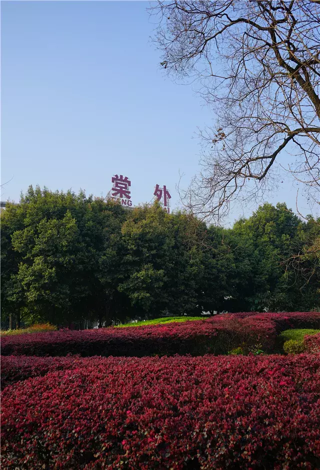 用三行情书留住四川名校的春天，25所学校，你为谁的春光心醉？