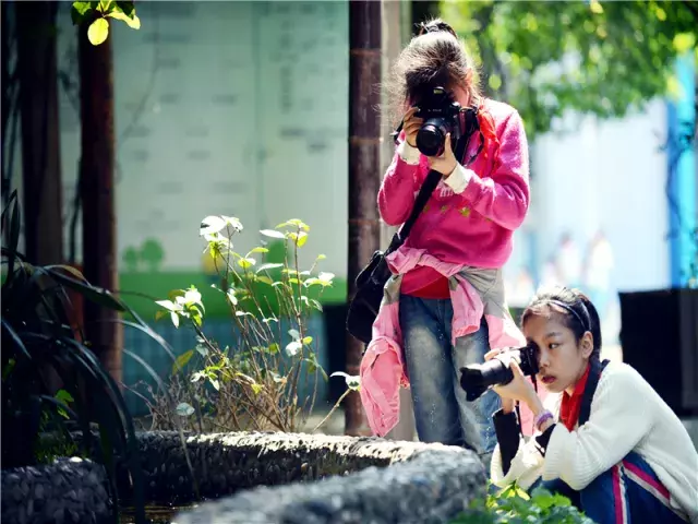 用三行情书留住四川名校的春天，25所学校，你为谁的春光心醉？