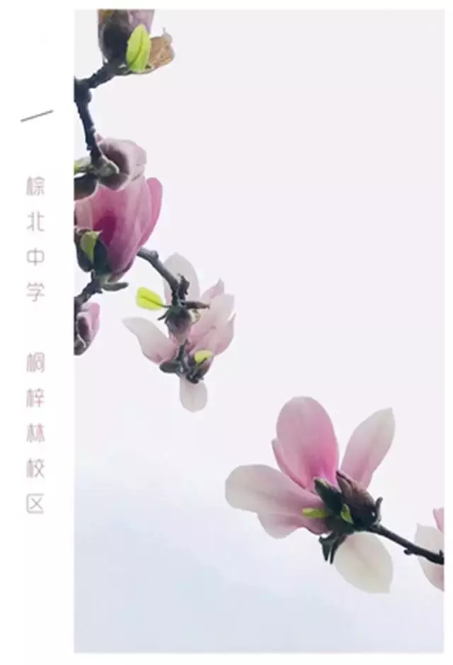 用三行情书留住四川名校的春天，25所学校，你为谁的春光心醉？