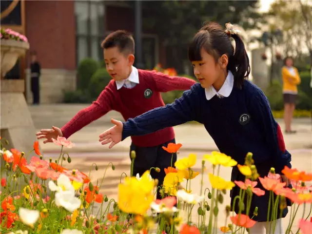 用三行情书留住四川名校的春天，25所学校，你为谁的春光心醉？