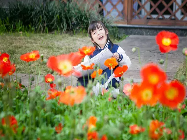 用三行情书留住四川名校的春天，25所学校，你为谁的春光心醉？