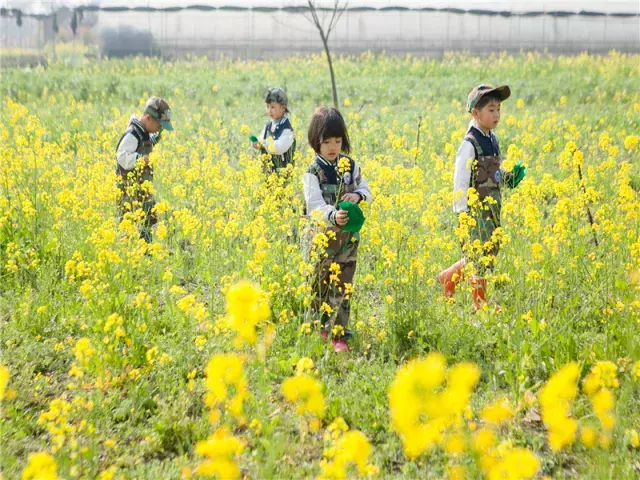 用三行情书留住四川名校的春天，25所学校，你为谁的春光心醉？