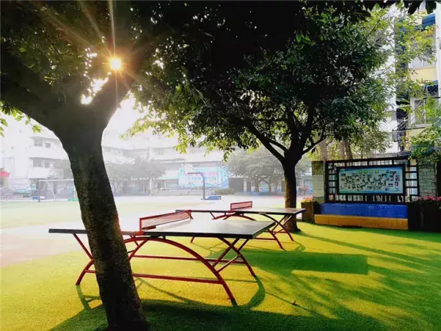 用三行情书留住四川名校的春天，25所学校，你为谁的春光心醉？