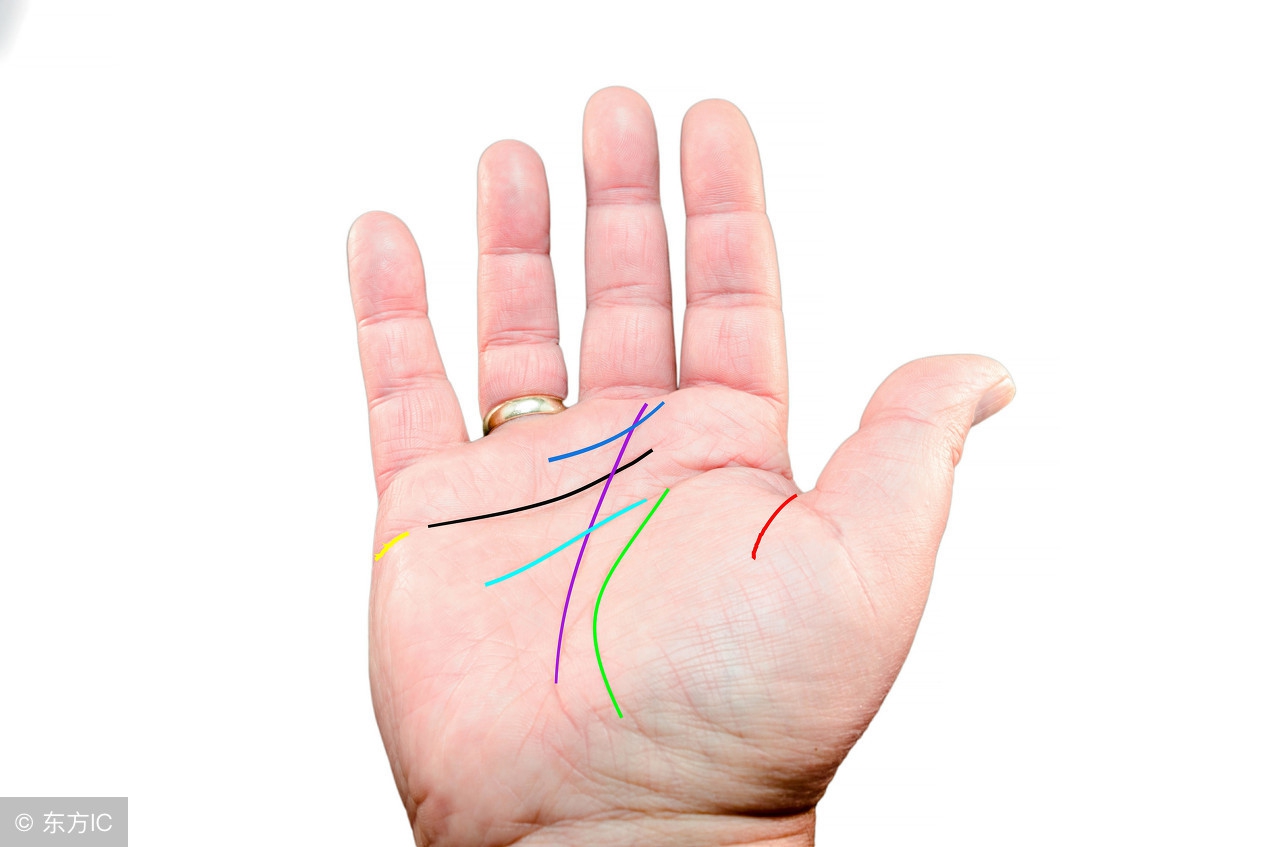 手相:这两条线可能影响我们的事业和财运