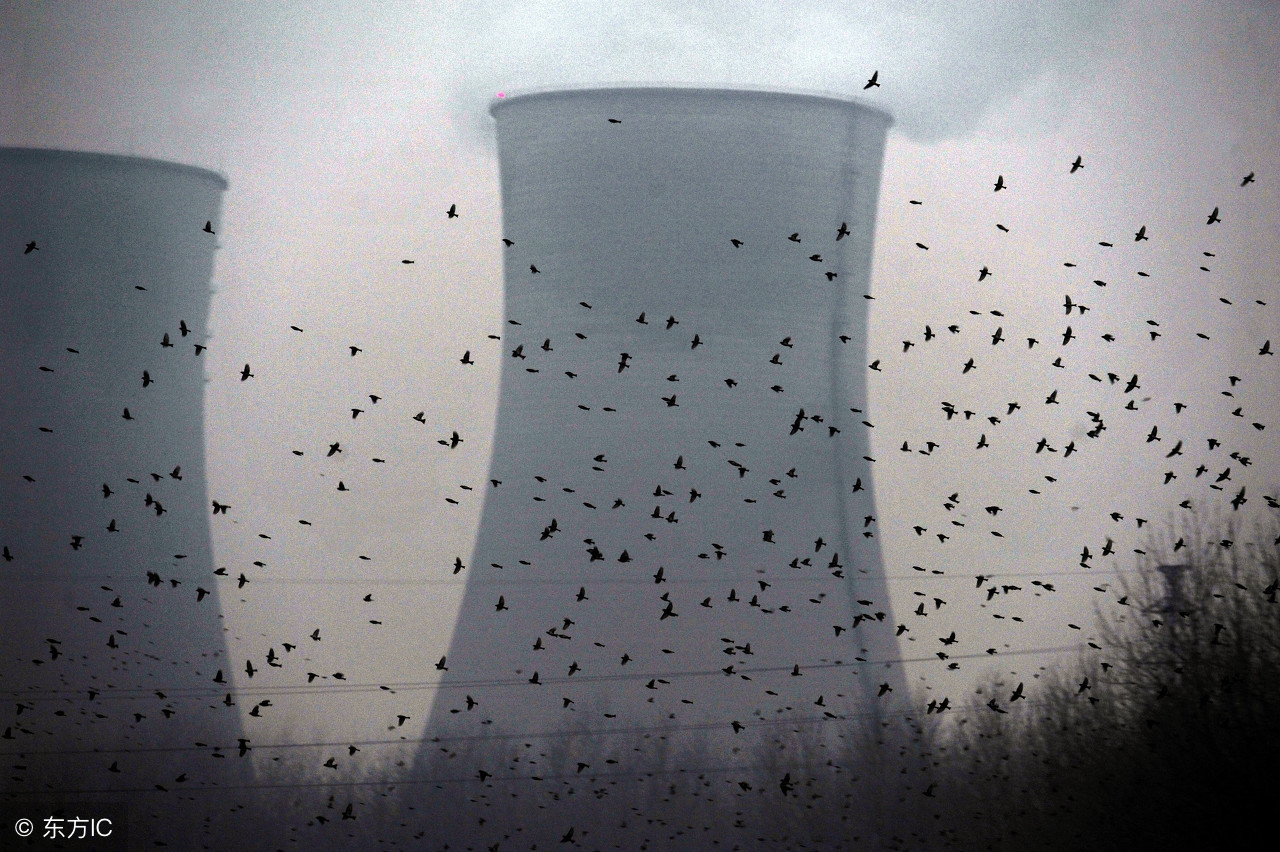 无处可微的连续函数