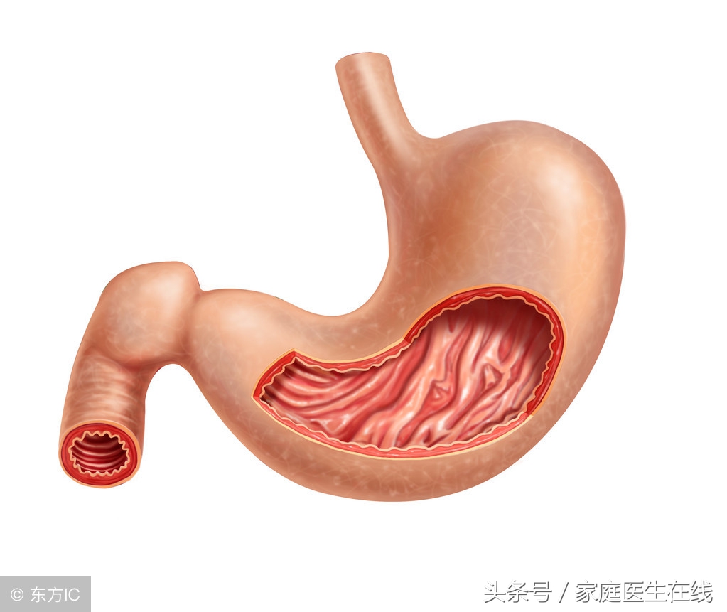 為什麼賁門癌預後較差?終於有醫生為大家解開疑惑了