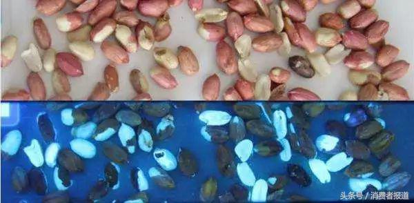 19款花生油對(duì)比測(cè)試：兩成土榨花生油可能致癌，最貴的竟墊底