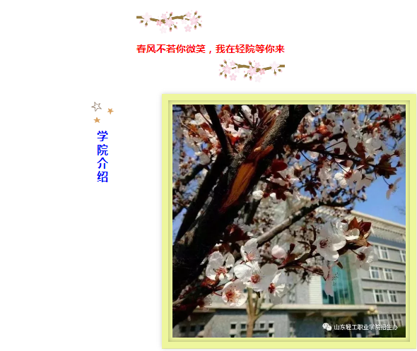 山东轻工职业学院地址（春风不若你微笑）
