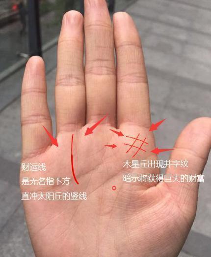 旺夫女人手相图解,晚年有福有财!