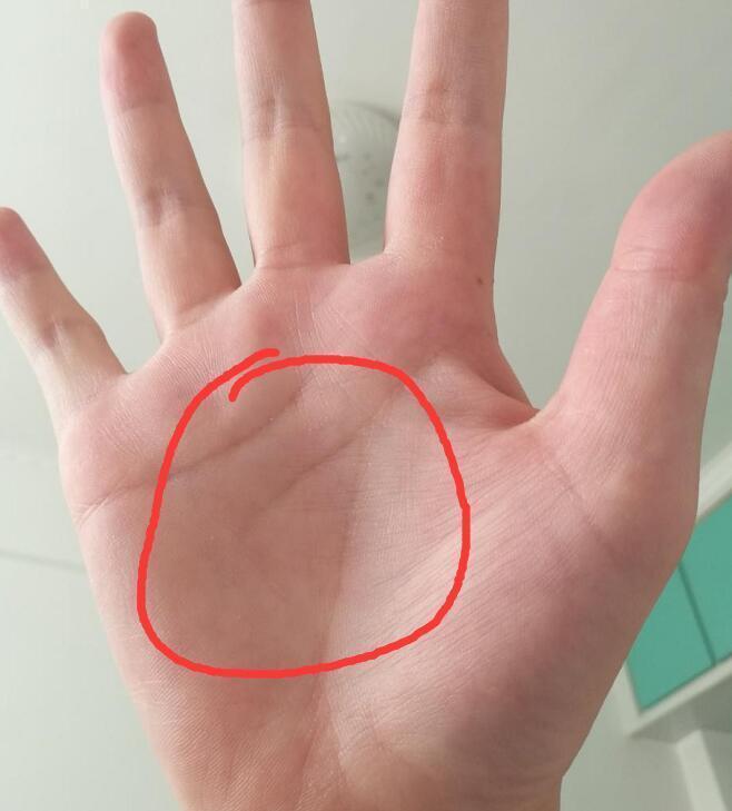 旺夫女人手相图解,晚年有福有财!