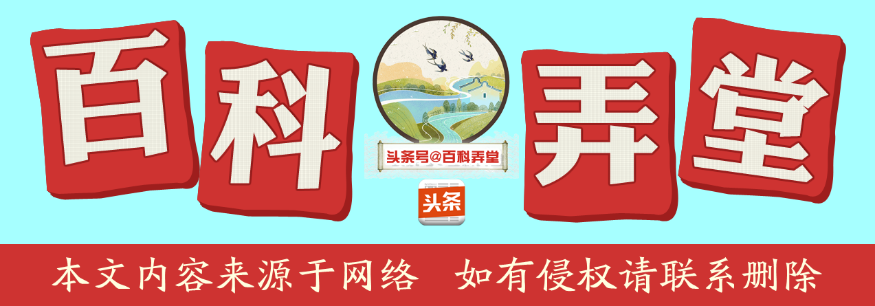 荑字读音及朗读指导

荑字读音为yí（第二声），意指草芽、细嫩的芽。