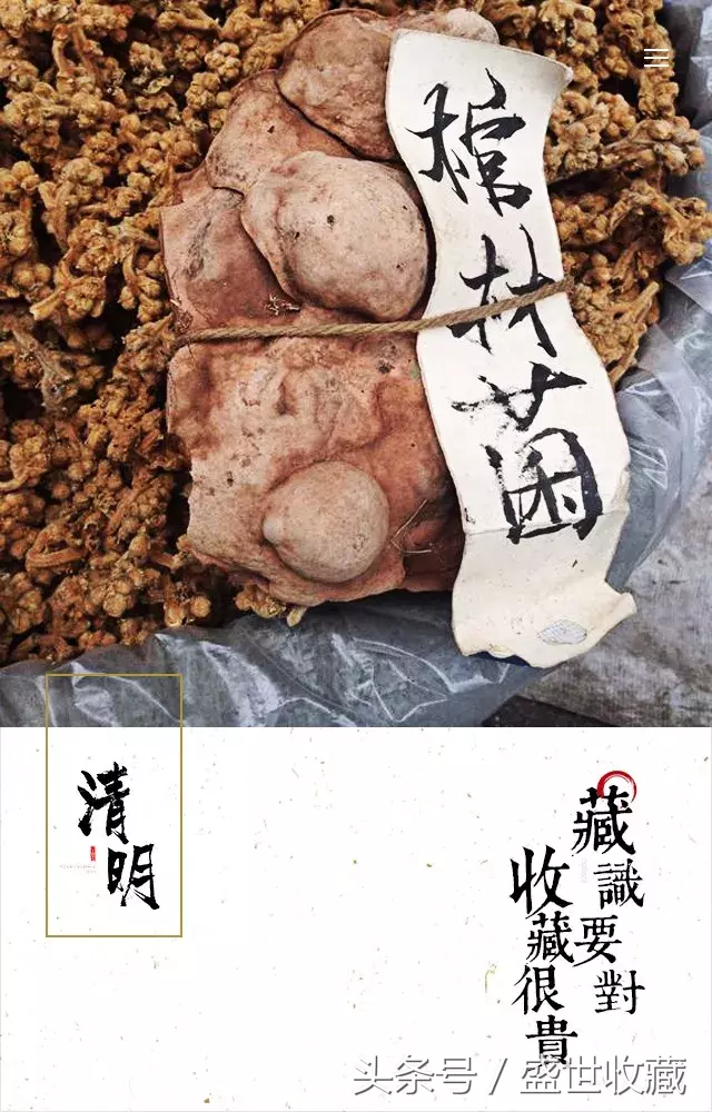 今天我想跟你说说棺材