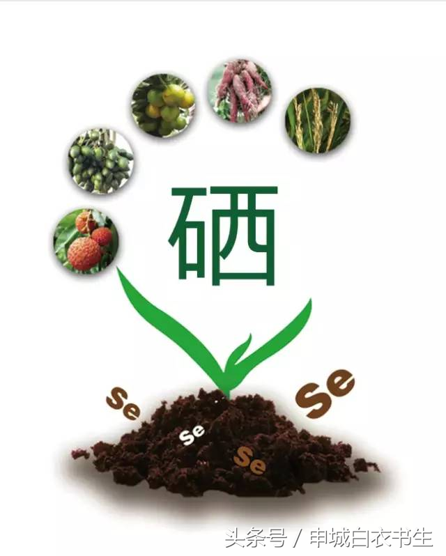 民国那些事：京城四大名医之一——施今墨治疗2型糖尿病的药方