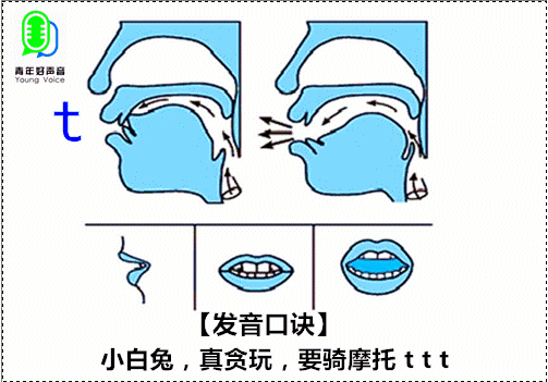 小军伴读06｜声母「t」-零基础学拼音