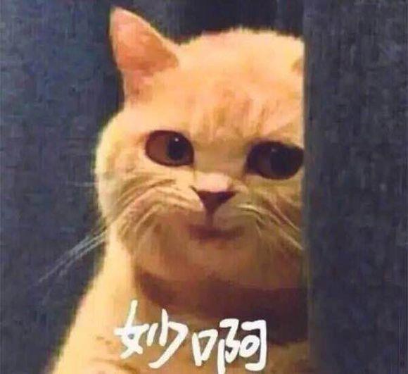 知乎上有哪些只凭借一句话就获得上万赞的回答？