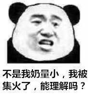 所以，你们能理解我吗？