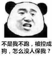 所以，你们能理解我吗？